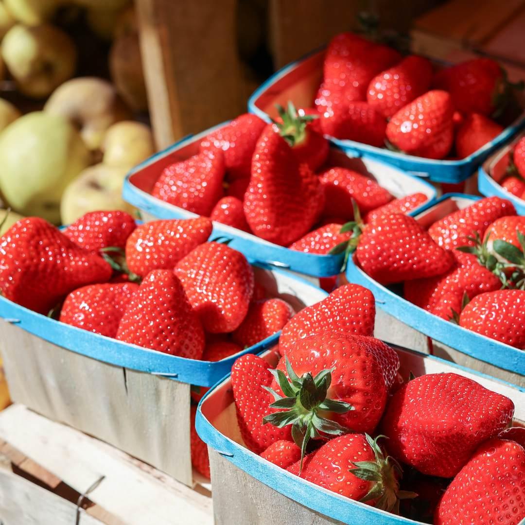 Farmer’s Market
