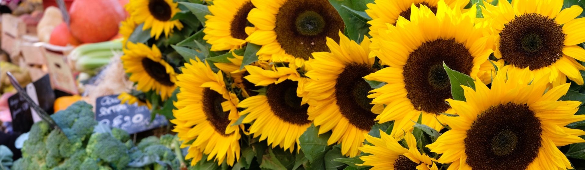 Sunflowers in Farmers market